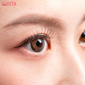 Cheap Price Private Label OEM Package Yearly Cosmetic Eye Colored Contact Lenses Natural Brown Soft Lenses